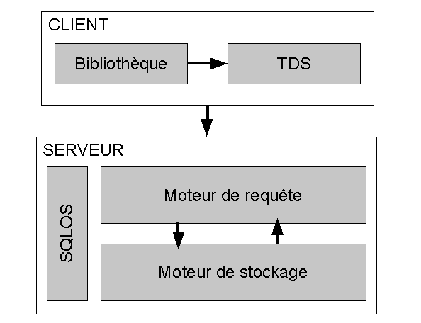 Fig. 2.1 - architecture client-serveur